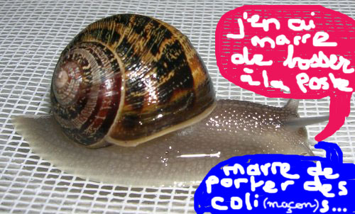 #2.12 grâce au vélo, j'ai des mollusques bien fermes