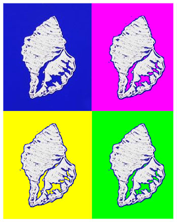 WeWant2Wadio 2015/2016 --> #26 Primal Spring