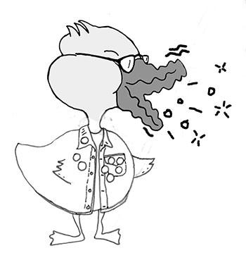 26 2016/2017 --> Veik les Veikings